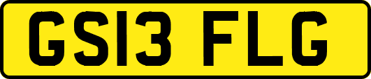 GS13FLG