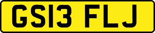 GS13FLJ