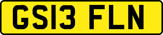 GS13FLN