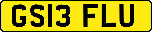 GS13FLU