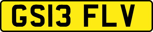 GS13FLV