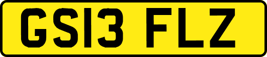 GS13FLZ