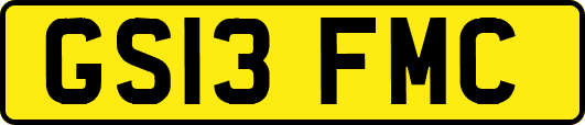 GS13FMC