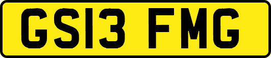 GS13FMG