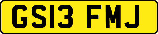 GS13FMJ