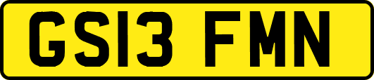 GS13FMN