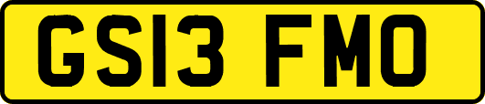GS13FMO