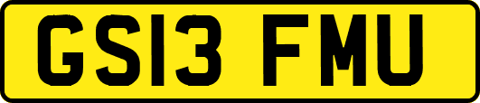 GS13FMU