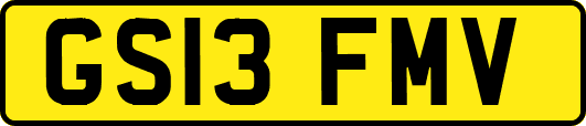 GS13FMV