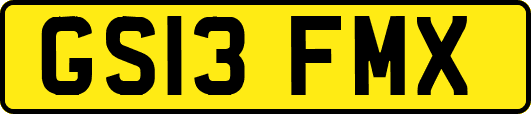 GS13FMX