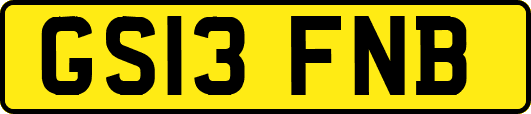 GS13FNB