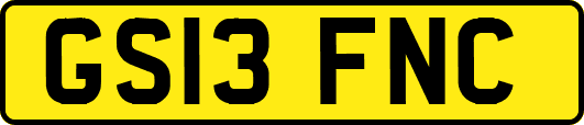 GS13FNC