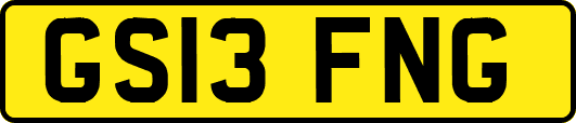 GS13FNG