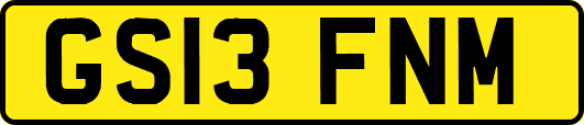 GS13FNM