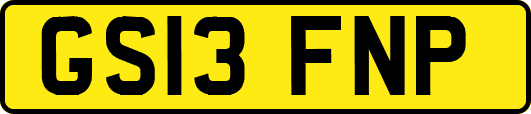 GS13FNP