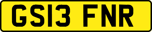 GS13FNR