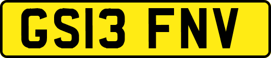 GS13FNV