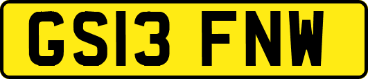 GS13FNW
