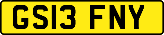GS13FNY