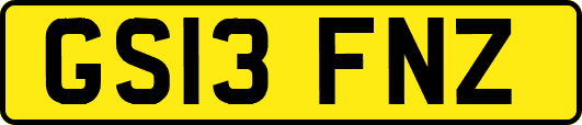 GS13FNZ