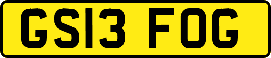 GS13FOG