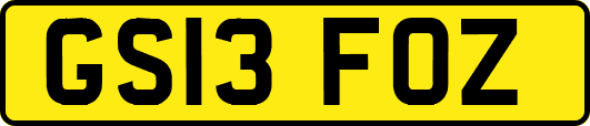 GS13FOZ