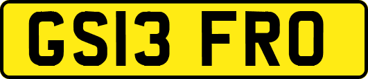 GS13FRO