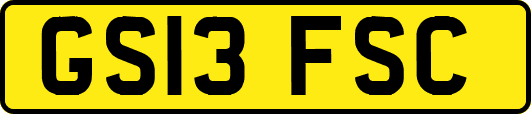 GS13FSC