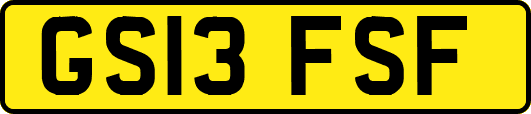 GS13FSF