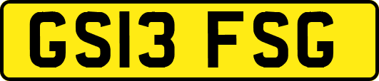 GS13FSG
