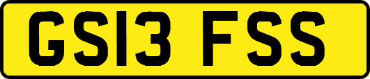GS13FSS
