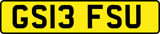GS13FSU