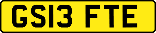 GS13FTE