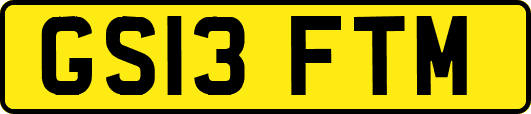 GS13FTM