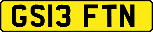 GS13FTN