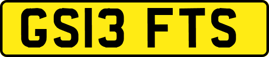 GS13FTS