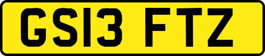 GS13FTZ