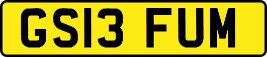 GS13FUM