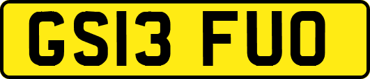 GS13FUO