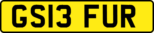 GS13FUR