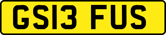 GS13FUS