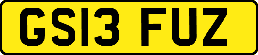 GS13FUZ