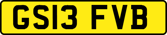 GS13FVB