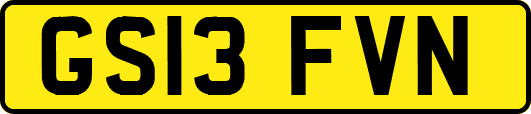 GS13FVN