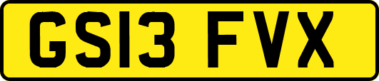 GS13FVX
