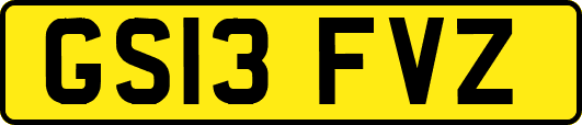 GS13FVZ