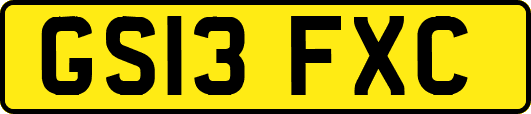 GS13FXC