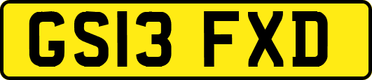 GS13FXD
