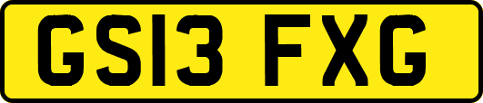 GS13FXG