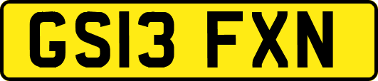 GS13FXN